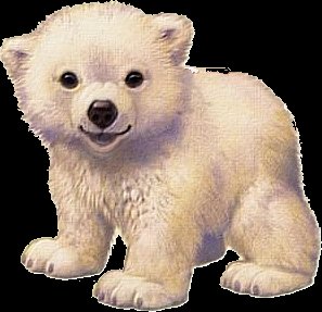 baerchen-009-knut.jpg