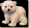 baerchen-009-knut.jpg